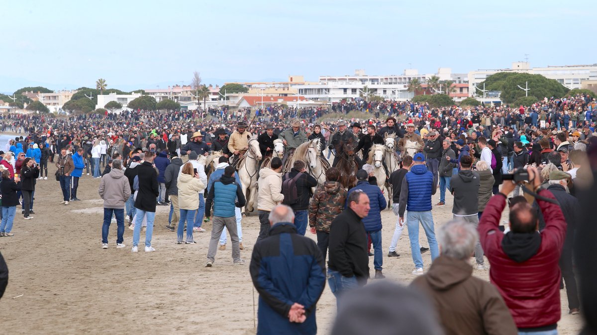 Abrivado des plages saison taurine 2025 Grau-du Roi (Photo Anthony Maurin)