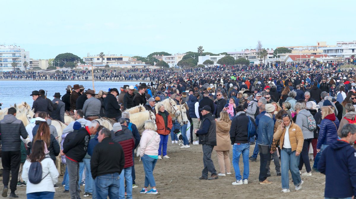 Abrivado des plages saison taurine 2025 Grau-du Roi (Photo Anthony Maurin)