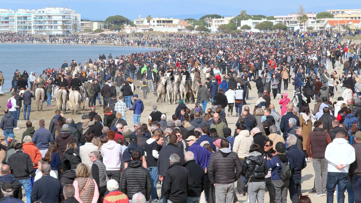 Abrivado des plages saison taurine 2025 Grau-du Roi (Photo Anthony Maurin)