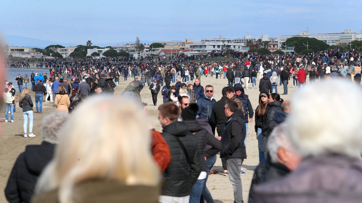 Abrivado des plages saison taurine 2025 Grau-du Roi (Photo Anthony Maurin)