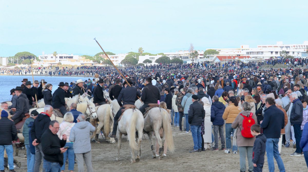 Abrivado des plages saison taurine 2025 Grau-du Roi (Photo Anthony Maurin)