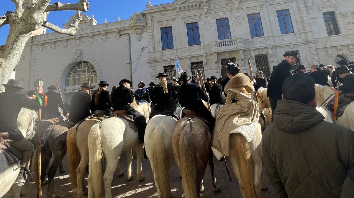 La bénédiction des chevaux lors du 36e hommage à Fanfonne Guillierme devant l'Eglise Saint Saturnin d'Aimargues