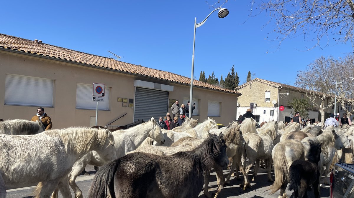 Le 36e hommage à Fanfonne Guillierme a connu une roussataïo