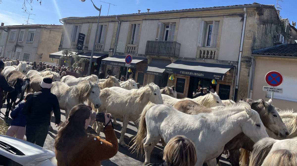 Le 36e hommage à Fanfonne Guillierme a connu une roussataïo