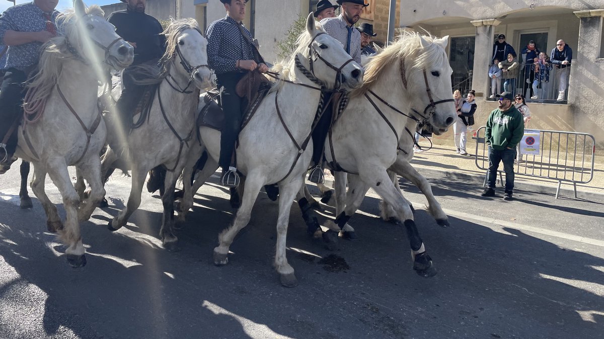 Le 36e hommage à Fanfonne Guillierme a connu deux abrivados