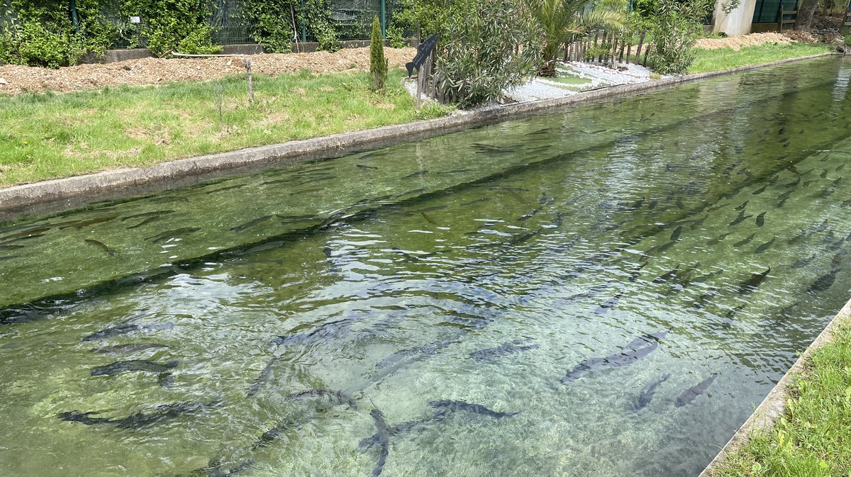 Le Conseil Départemental du Gard a présenté l'édition 2025 de 'De Ferme en Ferme' à la pisciculture G.A.E.C Les Fontaines d’Allègre-les-Fumades