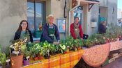 Marché aux plantes du Centre d'Éducation Conductive du Gard