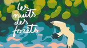 Les nuits des forêts