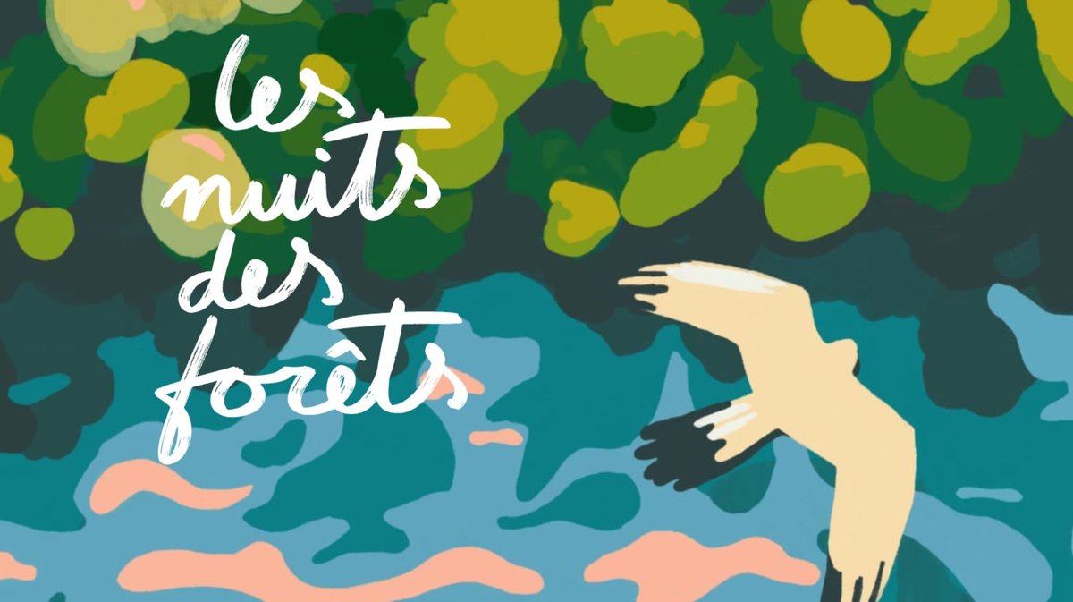 Les nuits des forêts