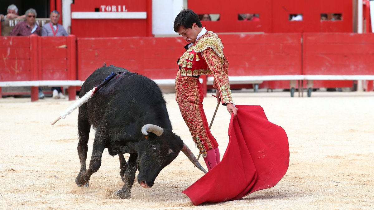 Novillada sans picadors de Pagès-Mailhan, Giraud, Barcelo et La Suerte pour Santiago López Ortega, Manuel Fuentes, Clovis et Rémy Asensio (Photo Anthony Maurin)