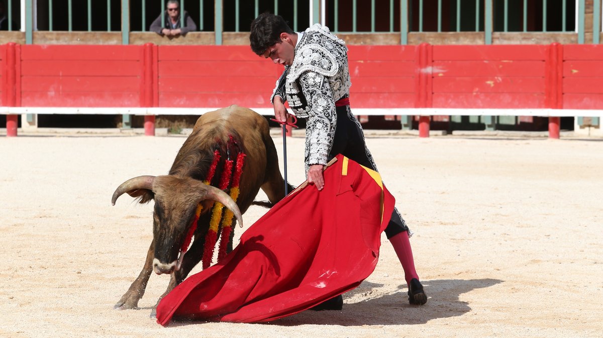 Novillada sans picadors de Pagès-Mailhan, Giraud, Barcelo et La Suerte pour Santiago López Ortega, Manuel Fuentes, Clovis et Rémy Asensio (Photo Anthony Maurin)