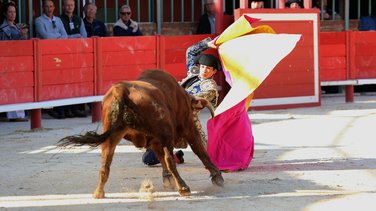 Novillada sans picadors de Pagès-Mailhan, Giraud, Barcelo et La Suerte pour Santiago López Ortega, Manuel Fuentes, Clovis et Rémy Asensio (Photo Anthony Maurin)