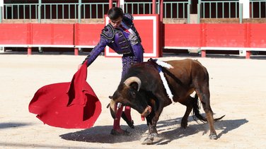 Novillada sans picadors de Pagès-Mailhan, Giraud, Barcelo et La Suerte pour Santiago López Ortega, Manuel Fuentes, Clovis et Rémy Asensio (Photo Anthony Maurin)