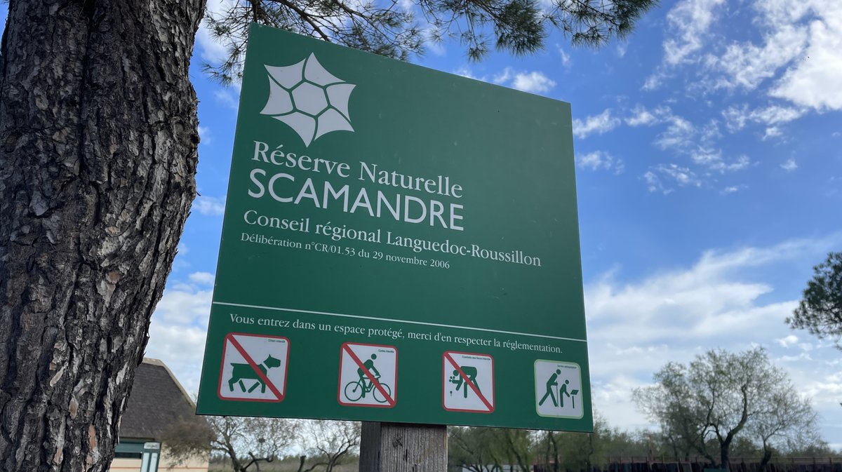 Réserve naturelle du Scamandre 2025 (Photo Anthony Maurin)