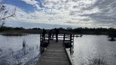 Réserve naturelle du Scamandre 2025 (Photo Anthony Maurin)