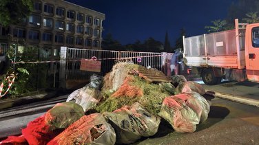mobilisation agriculteurs loi duplomb ddtm