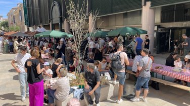 Pique-nique des Halles de Nîmes 2025 (Photo Anthony Maurin)