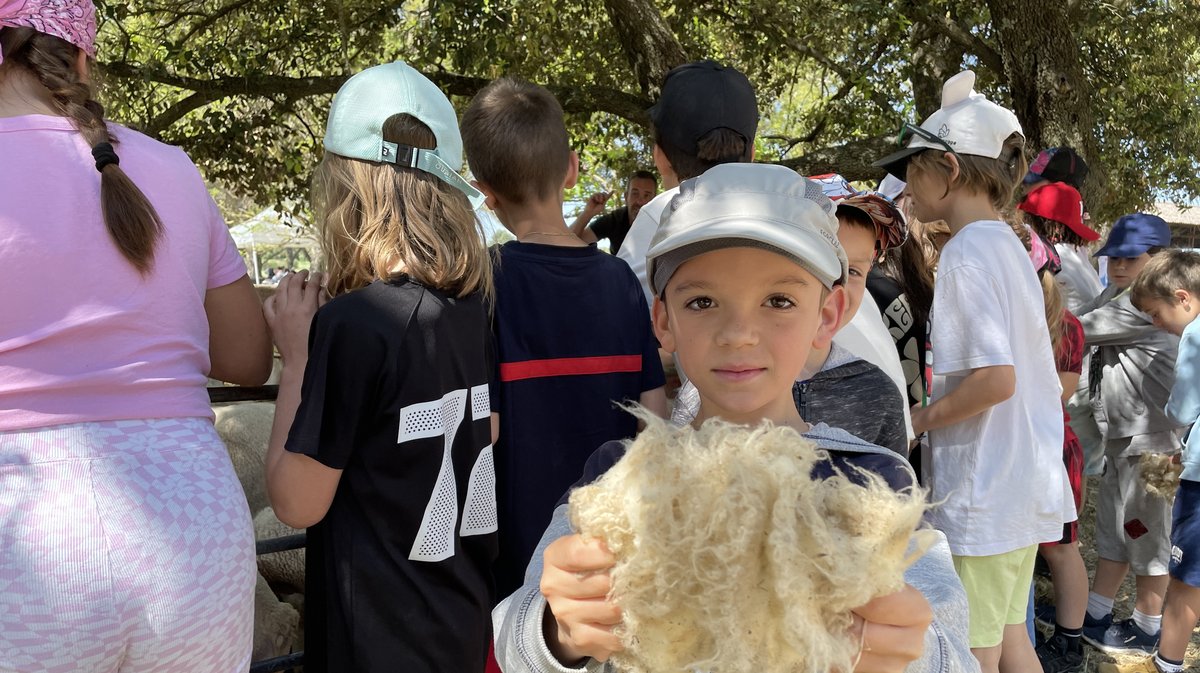 journée pastorale domaine de vallongue nîmes métropole 2025 agriculteurs