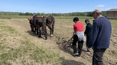 journée pastorale domaine de vallongue nîmes métropole 2025 agriculteurs