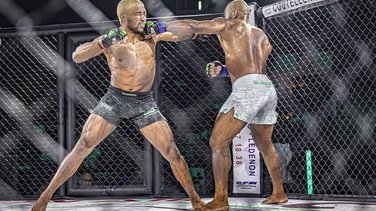 mma jungle strike championship