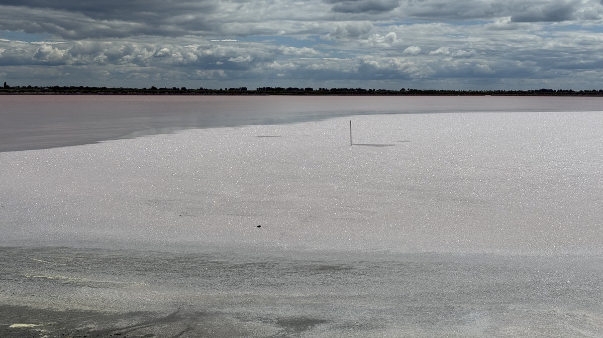 Aigues-Mortes ECLAE