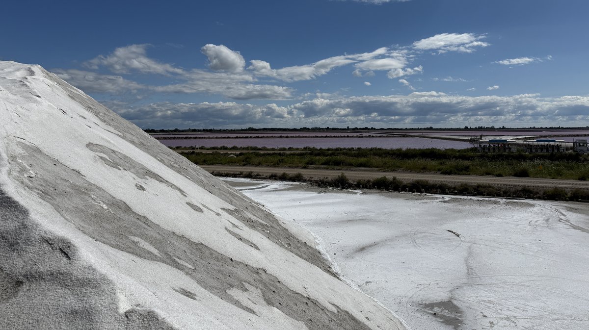 Aigues-Mortes ECLAE