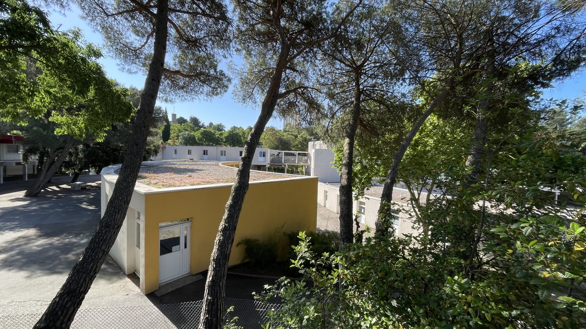 L'école Edouard-Vaillant recevait la rectrice Occitanie Carole Drucker-Godard (Photo Anthony Maurin)