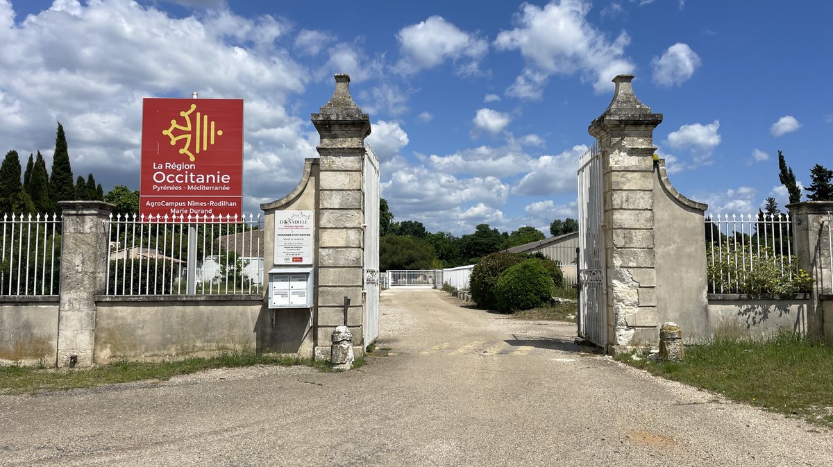 Le Domaine Donadille, de l'agro-campus Marie-Durand à Rodilhan a créé sa cuvée Miss Terre et a présenté ses millésimes 2024 (Photo Anthony Maurin)
