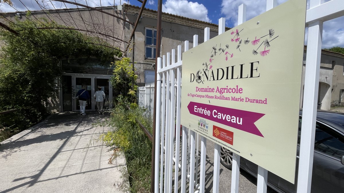 Le Domaine Donadille, de l'agro-campus Marie-Durand à Rodilhan a créé sa cuvée Miss Terre et a présenté ses millésimes 2024 (Photo Anthony Maurin)