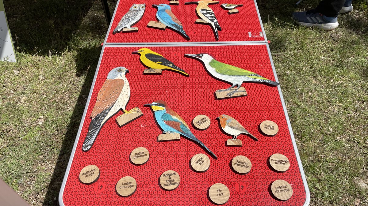 Fête de la Nature 2025 au Clos Gaillard (Photo Anthony Maurin)