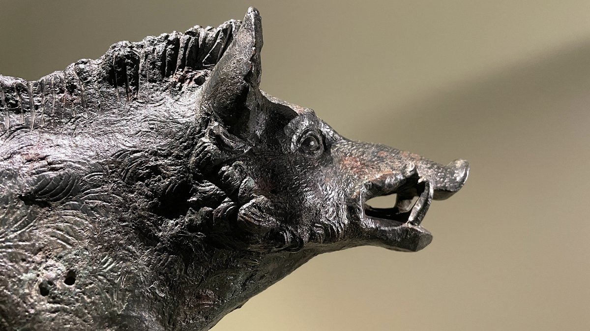 L'exposition temporaire "Gaulois mais Romains !" au Musée de la Romanité de Nîmes jusqu'au 4 janvier 2026 (Photo Anthony Maurin)