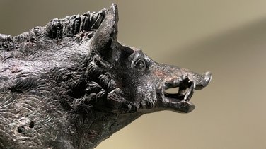 L'exposition temporaire "Gaulois mais Romains !" au Musée de la Romanité de Nîmes jusqu'au 4 janvier 2026 (Photo Anthony Maurin)