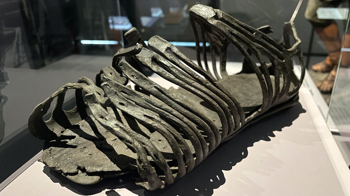 L'exposition temporaire "Gaulois mais Romains !" au Musée de la Romanité de Nîmes jusqu'au 4 janvier 2026 (Photo Anthony Maurin)