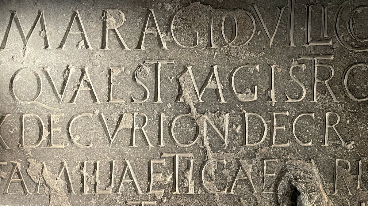 L'exposition temporaire "Gaulois mais Romains !" au Musée de la Romanité de Nîmes jusqu'au 4 janvier 2026 (Photo Anthony Maurin)