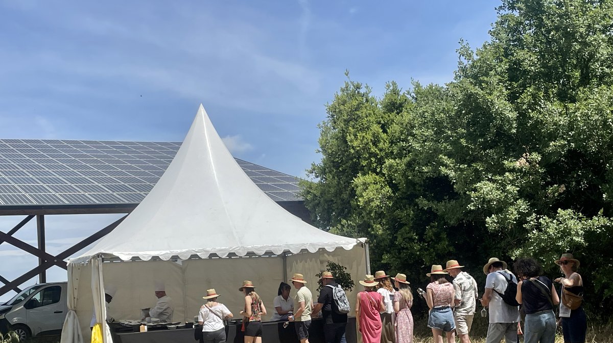Vignes Toquées 2025