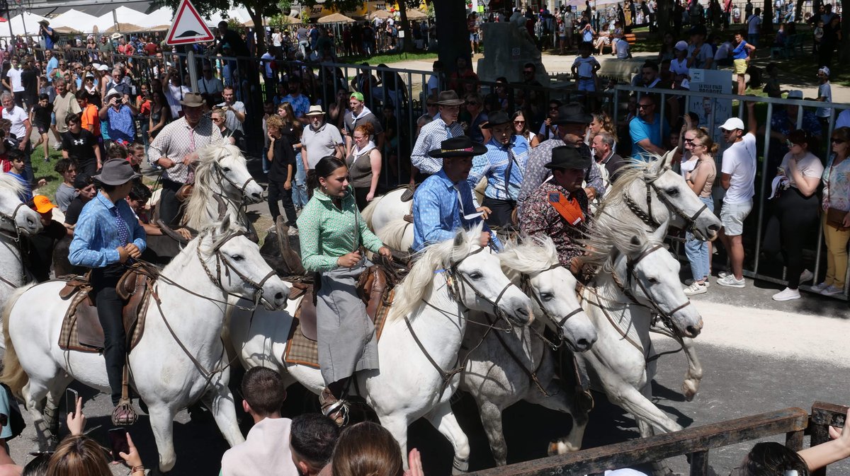 feria alès concours abrivado 2025