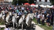 feria alès concours abrivado 2025