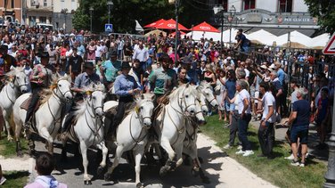 feria alès concours abrivado 2025