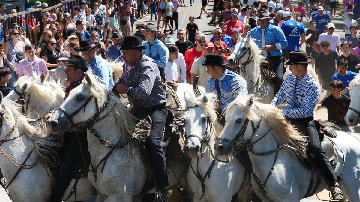 feria alès concours abrivado 2025