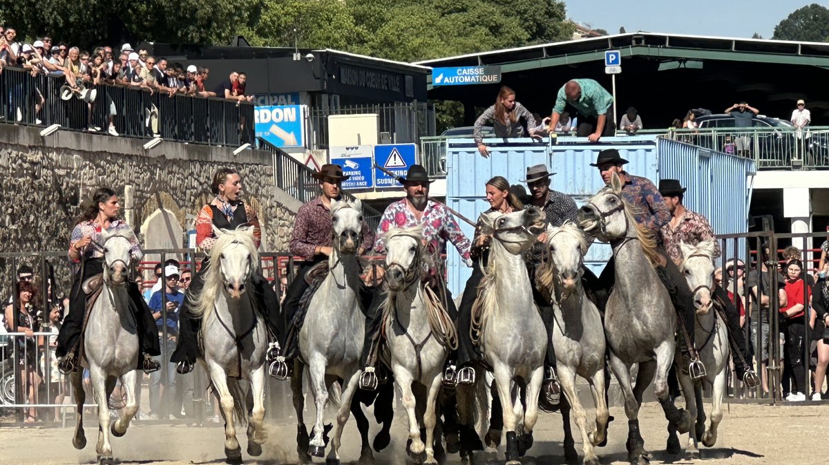 Feria Alès Gaze 2025