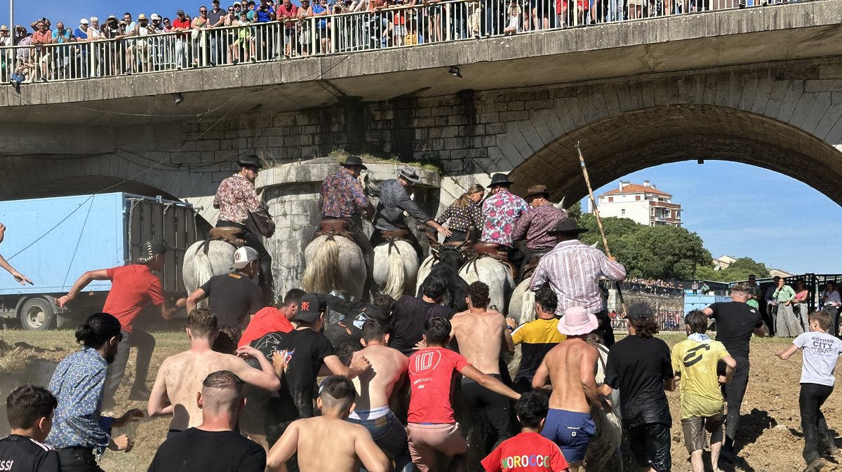 Feria Alès Gaze 2025