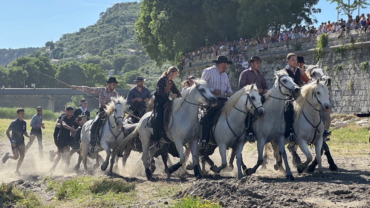 Feria Alès Gaze 2025