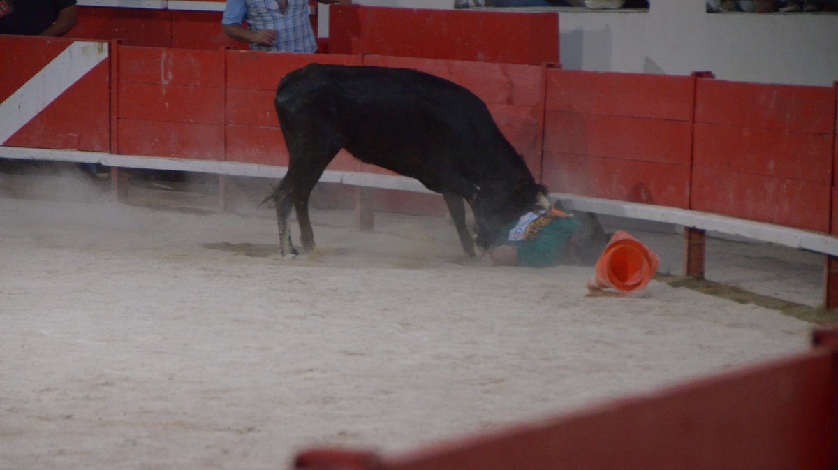 Feria Alès 2025