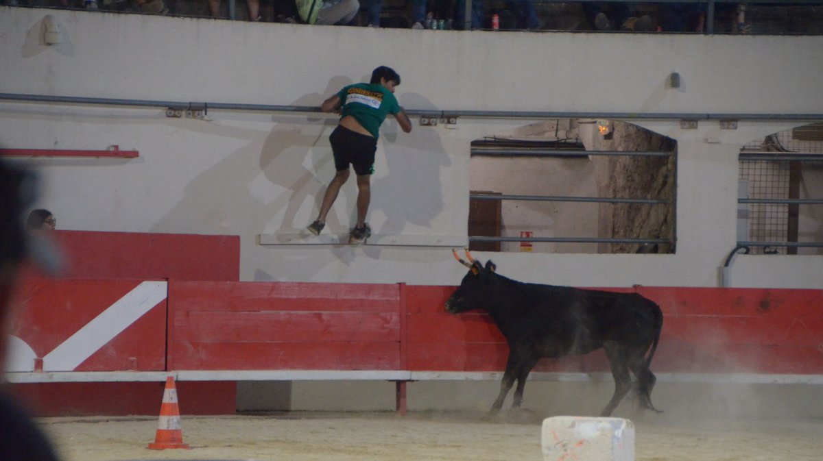 Feria Alès 2025
