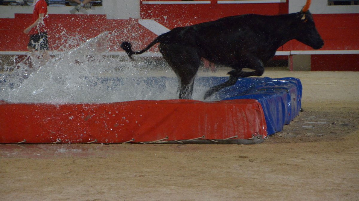 Feria Alès 2025