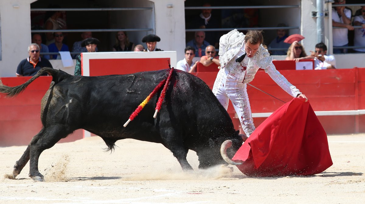 Corrida du Curé de Valverde pour Javier Cortes, Luis Gerpe et Carlos Olsina (Photo Anthony Maurin)