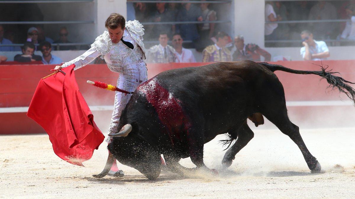 Corrida du Curé de Valverde pour Javier Cortes, Luis Gerpe et Carlos Olsina (Photo Anthony Maurin)