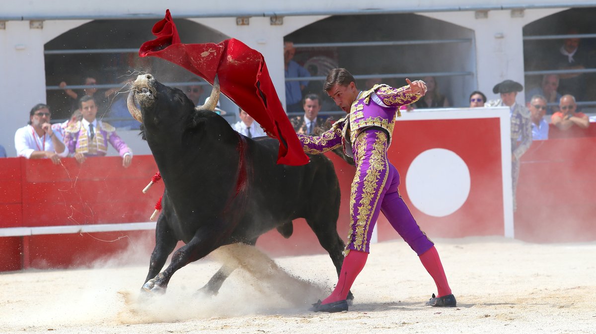 Corrida du Curé de Valverde pour Javier Cortes, Luis Gerpe et Carlos Olsina (Photo Anthony Maurin)