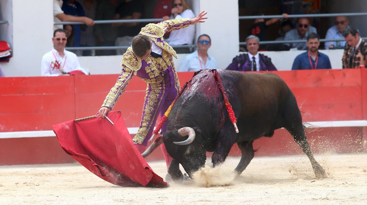 Corrida du Curé de Valverde pour Javier Cortes, Luis Gerpe et Carlos Olsina (Photo Anthony Maurin)
