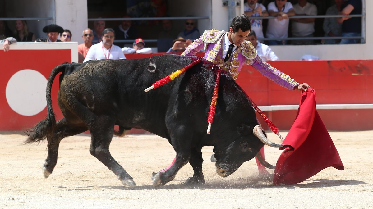 Corrida du Curé de Valverde pour Javier Cortes, Luis Gerpe et Carlos Olsina (Photo Anthony Maurin)